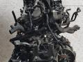 двигатель Volkswagen Polo 4 поколение 2002, 1.4 л., BBY, бензин, 5МКПП, передний привод, BBY, BKY - фото №3
