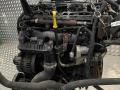 двигатель Ford Transit 7 поколение 2007, 2.2 л., TDCi, дизель, МКПП, P8FB - фото №2