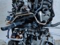 двигатель Volkswagen Polo 5 поколение 2011, 1.2 л., CGPA, бензин, МКПП, передний привод, CGP, BZG, AZQ - фото №3