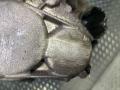 КПП механическая (МКПП) Nissan Qashqai 1 поколение 2009, 1.5 л., DCi, K9K, дизель, 6МКПП, передний привод, TL4B113 - фото №3