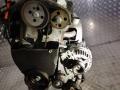 двигатель Volkswagen Golf 4 поколение 1998, 1.4 л., i, бензин, МКПП, AKQ - фото №5