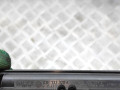 топливная рампа Volkswagen Polo 5 поколение 2010, 1.2 л., CGPA, бензин, передний привод, 03E133320A, 03E906031C - фото №7