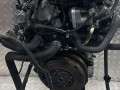 двигатель Volkswagen Golf 4 поколение 2002, 1.4 л., i, BCA, бензин, МКПП, передний привод, BCA - фото №4