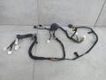дверная проводка Nissan Qashqai 1 поколение [рестайлинг] 2012, 24124BR00C - фото №4
