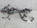 проводка двигателя Nissan Qashqai 1 поколение 2008, 1.5 л., 24011JD03E - фото №2