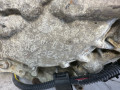 КПП автоматическая (АКПП) Renault Megane 1 поколение [рестайлинг] 2003, 2.0 л., F4R 746, бензин, DP0032 - фото №3