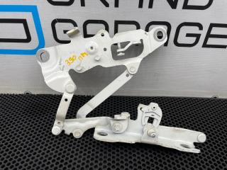 петля капота правая BMW 5 серия F10/F11 [рестайлинг] F10 2014, АКПП, задний привод, 41007270883