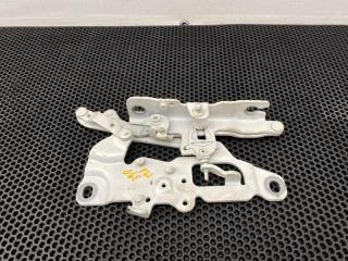 петля капота левая BMW 5 серия F10/F11 [рестайлинг] F10 2014, АКПП, задний привод, 7249887