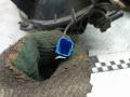 коллектор впускной Peugeot 407 1 поколение 2007, 2.2 л., бензин, 6МКПП, купе, 9653534380, 9661629280 - фото №3