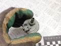 клапан вентиляции топливного бака Volkswagen Jetta 2 поколение [рестайлинг] 1991, 1.8 л., бензин, 0280142153, 026133517 - фото №3