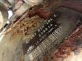 вакуумный усилитель тормозов Volkswagen Golf 3 поколение 1996, 1.9 л., дизель, 10044707453, 1H1614101C, 10636310064, 10020300633 - фото №7