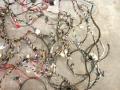 проводка салона Mercedes-Benz Vito W639 2006, 2.2 л., дизель, МКПП, A6394404709, A6394407807, A6395405333, QP7272122, AQP7272122 - фото №9