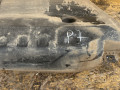 бак топливный Peugeot 306 1 поколение [рестайлинг] 2000, 1.9 л., WJY (DW8B), дизель, МКПП, универсал, передний привод, 9632840480, 9640361480, 9639773880, 9640595880 - фото №5