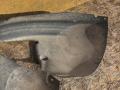 защита арок передняя правая (подкрылок) Volkswagen Passat B6 2010, 1.4 л., CDGA, бензин, АКПП, универсал, 3C0805978 - фото №8