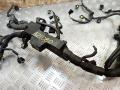 проводка двигателя Toyota RAV4 3 поколение (XA30) 2008, 2.2 л., D-4D, 2AD-FTV, дизель, МКПП, внедорожник 5 дв., 4081XA1, 8281505170 - фото №7