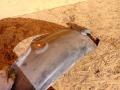 защита арок задняя правая (подкрылок) Renault Laguna 2 поколение 2005, 2.0 л., бензин, МКПП, универсал, 8200002140 - фото №4