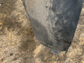 защита арок задняя левая (подкрылок) Peugeot 607 1 поколение 2002, 2.2 л., 4HX (DW12TED4/FAP), дизель, седан, 9629152280 - фото №6