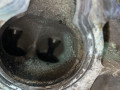 двигатель Mazda 323F BA 1998, 1.5 л., бензин, Z5 - фото №9