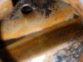 двигатель Peugeot 106 1 поколение 1996, 1.1 л., бензин, HDZ, TU1 - фото №9