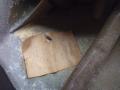 зеркало наружное правое Volkswagen Golf 3 поколение 1995, E10217384, E10217385, E10217386, 1H1857502A - фото №10