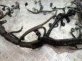проводка двигателя Toyota RAV4 3 поколение (XA30) 2008, 2.2 л., D-4D, 2AD-FTV, дизель, МКПП, внедорожник 5 дв., 4081XA1, 8281505170 - фото №5