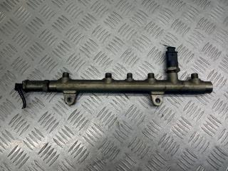 топливная рампа Renault Laguna 2 поколение 2004, 1.9 л., DCi, 445214024