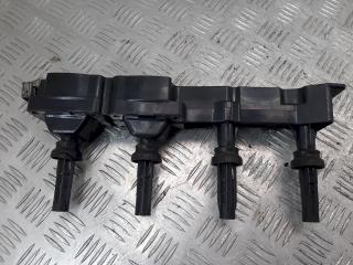 катушка зажигания Peugeot 206 1 поколение [рестайлинг] 2004, 1.6 л., i, 160235