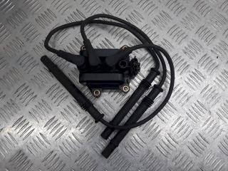 катушка зажигания Renault Clio 2 поколение [рестайлинг] 2003, 1.2 л., i, 40100325