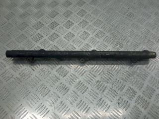 топливная рампа BMW M5 E39 2002, 3.0 л., D, 445216002