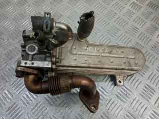 охладитель EGR / Радиатор EGR Volkswagen Golf 4 поколение 2003, 1.9 л., 038131513D
