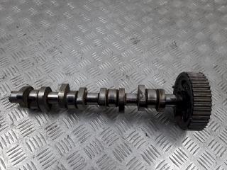 распредвал Volkswagen Golf 4 поколение 2004, 1.9 л., TDi