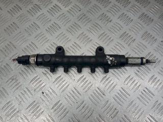 топливная рампа Ford Transit Connect 1 поколение 2009, 2.2 л., TDCi