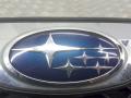 решетка радиатора Subaru Trezia 1 поколение 2015 - фото №2