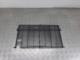 решетка радиатора BMW X3 G01 2021