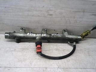 топливная рампа Peugeot Expert 1 поколение 2001, 2.0 л., HDi, 0445214019