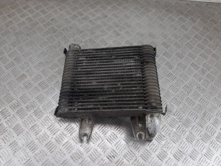 интеркулер Kia Carnival 1 поколение [рестайлинг] 2005, 2.9 л., дизель