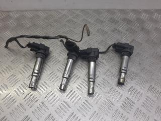 катушка зажигания Skoda Fabia 1 поколение (6Y) 2004, 1.4 л., 036905715E