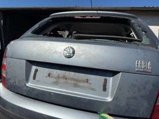 Skoda Fabia 1 поколение (6Y) [рестайлинг]