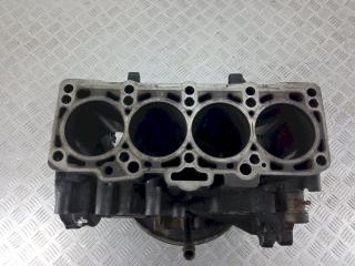 блок цилиндров Volkswagen Sharan 1 поколение [2-й рестайлинг] 2008, 2.0 л., TDi, BVH00199