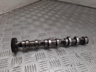 распредвал Audi A4 B7 2007, 3.0 л., TDi, 059109022BF, 059102CB