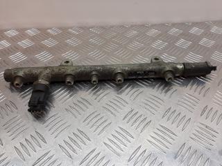 топливная рампа Renault Laguna 2 поколение 2003, 1.9 л., DCi, 0445214024