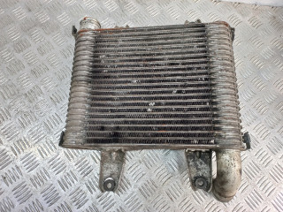 интеркулер Kia Carnival 1 поколение [рестайлинг] 2005, 2.9 л., дизель, МКПП, 55313550