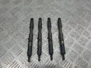 форсунка Audi A4 B6 2003, 2.5 л., 432133786