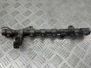 топливная рампа Renault Scenic 2 поколение 2005, 1.9 л., DCi, 445214158