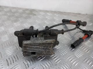 катушка зажигания Audi A4 B5 [рестайлинг] 2000, 1.8 л., i, 221603003