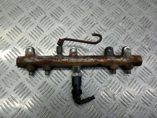 топливная рампа Citroen Jumper 1 поколение [рестайлинг] 2003, 2.8 л., HDi, 445224009