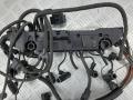 проводка BMW 7 серия E65/E66/E67 [рестайлинг] 2006, 3.0 л., D, 1251780172601 - фото №3