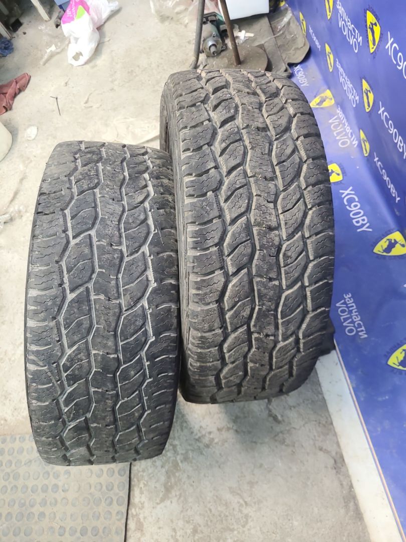 шина - фото №1