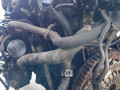 двигатель Nissan Note E11 2009, 1.5 л., дизель, K9KF276 - фото №9