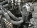 двигатель Renault Clio 3 поколение 2007, 1.5 л., DCi, дизель, K9KN764 - фото №6